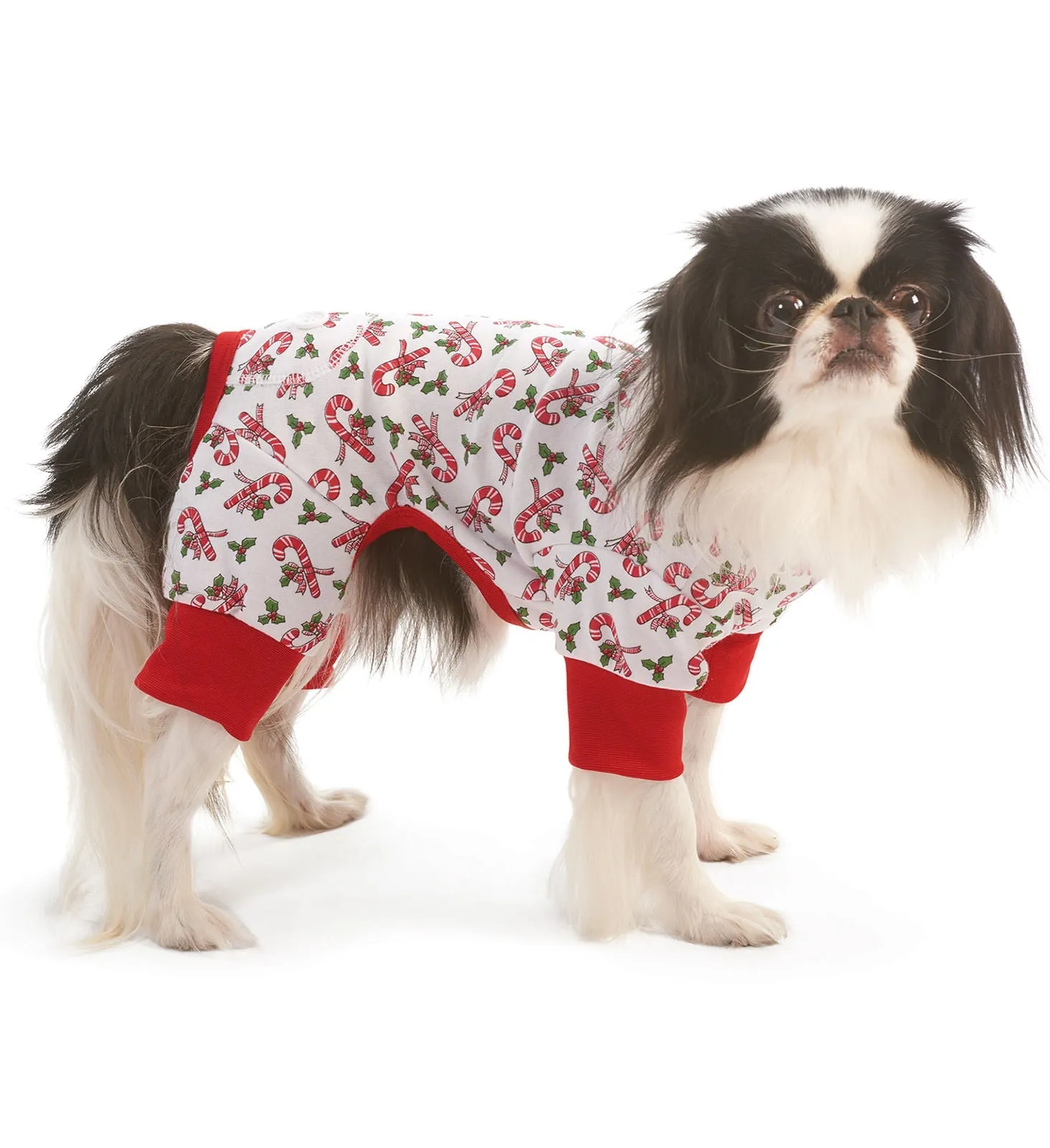 Dog Christmas Pajamas, Candy Cane