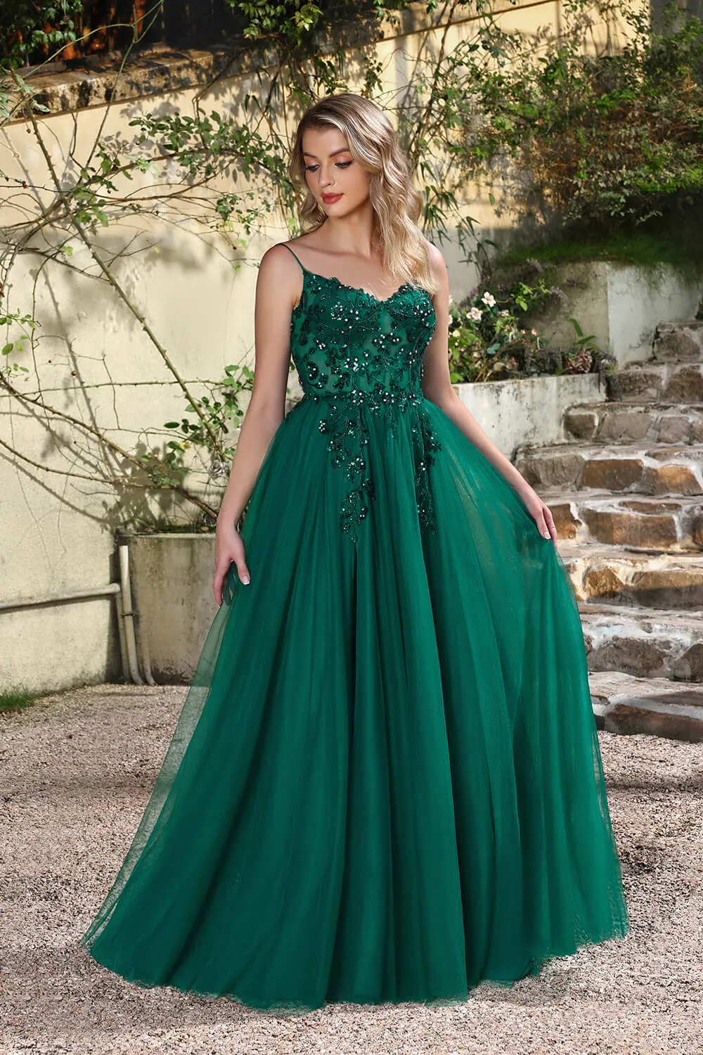 Long A-line V-neck Sleeveless Tulle Floor Length Prom Dresses