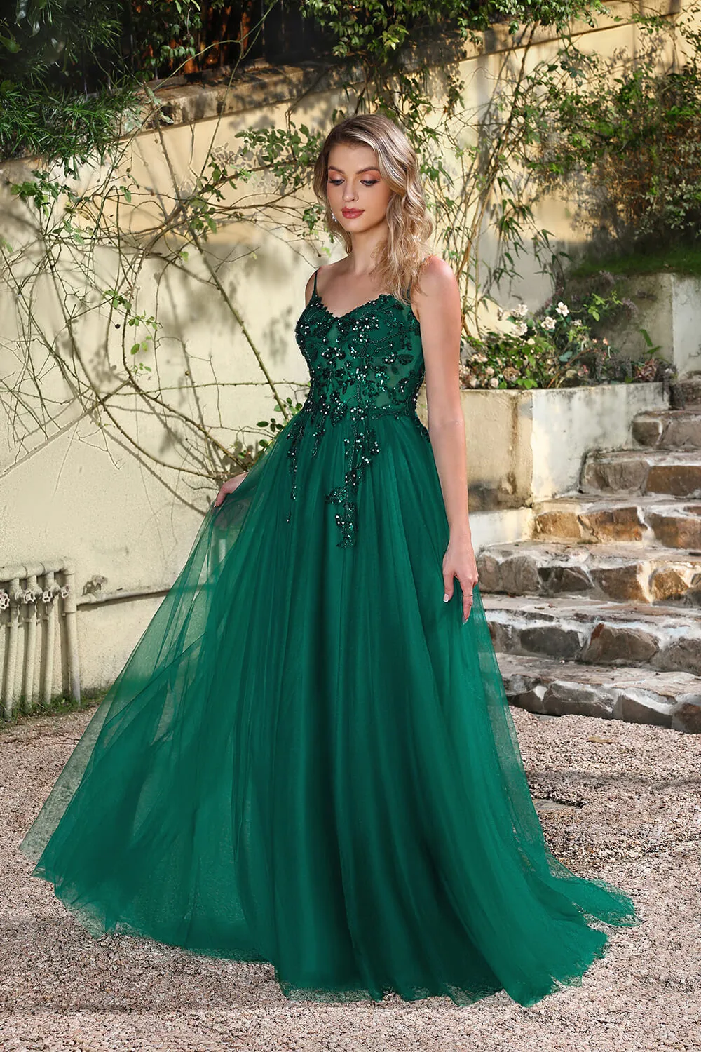 Long A-line V-neck Sleeveless Tulle Floor Length Prom Dresses