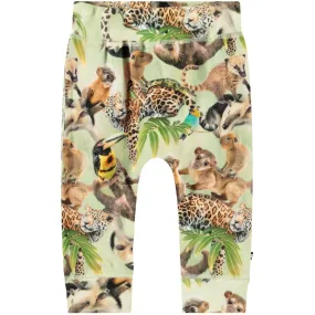 Molo Jungle Cubs Sammy Soft Pants