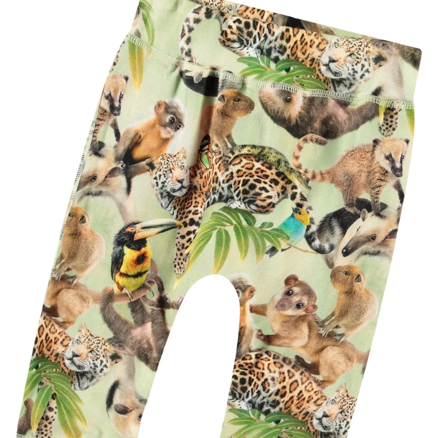 Molo Jungle Cubs Sammy Soft Pants